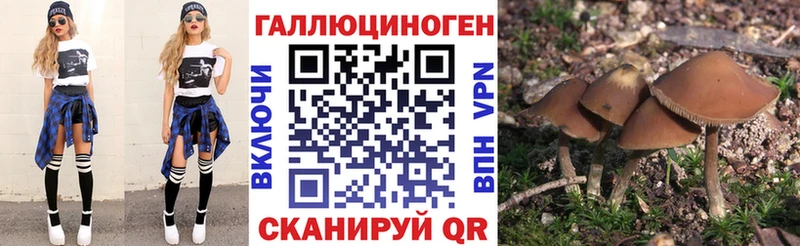 hydra зеркало  Яблоновский  Псилоцибиновые грибы мухоморы 